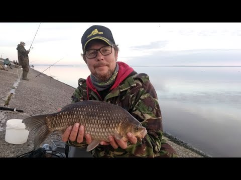 Видео: Толстобокие КАРАСИ на фидер. Средний вес- КИЛОГРАММ