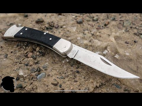 Видео: Обзор, Сравнение BUCK 110 Folding Hunter PRO