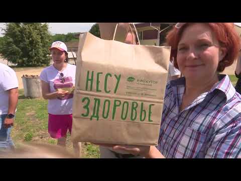 Видео: Концерт 4K