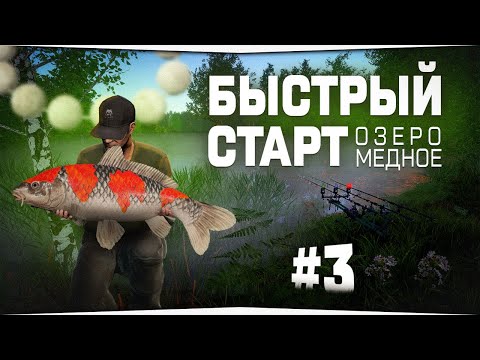 Видео: БЫСТРЫЙ СТАРТ в игре Русская Рыбалка 4 • Туры на Медное озеро • Серия #3