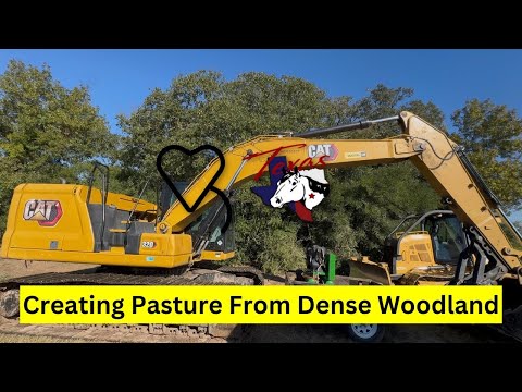 Видео: Создание пастбищ на месте густого леса | Регенеративное ранчо