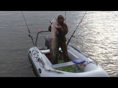 Видео: ДИВЕР - Поимка ТРОФЕЙНОГО СОМА - 40 минут кайфа, ловля сома, рыбалка 2017 Харабали река Ахтуба