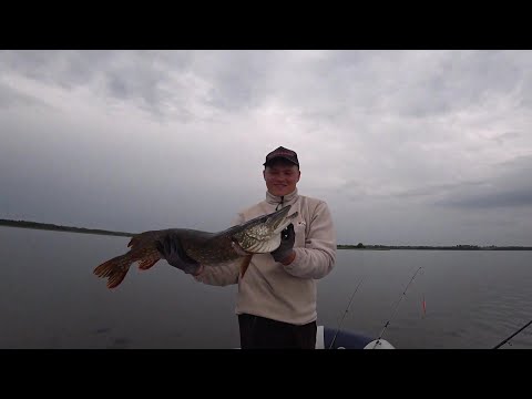 Видео: ЛЕТНЯЯ РЫБАЛКА НА ТРОЛЛИНГ! МНОГО РЫБЫ ! ЩУКА ЗА ЩУКОЙ!
