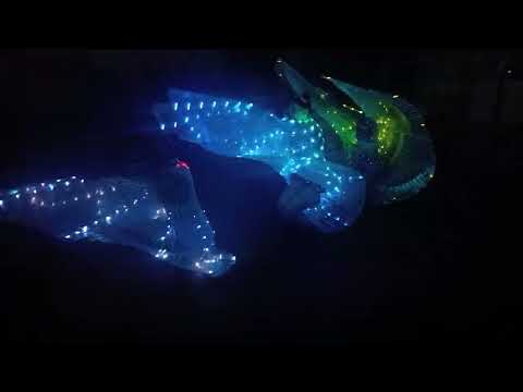 Видео: День Железнодорожника. Chili ( арт группа ) 02.08.2025 год