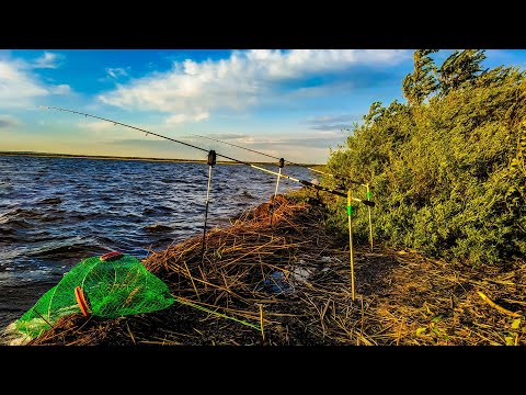 Видео: СУПЕР РЫБАЛКА НА СУДАКА НОЧЬЮ.