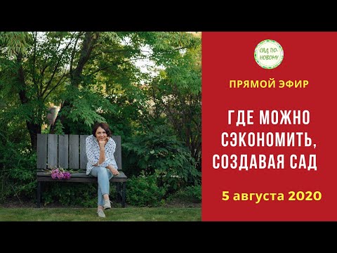 Видео: Где можно сэкономить создавая сад