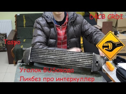 Видео: Уголок BUSовода #10.Ликбез по интеркуллеру на Grand Starex.Taspo.