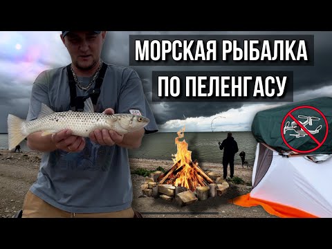 Видео: Рыбалка по пеленгасу.Попали на клёв.