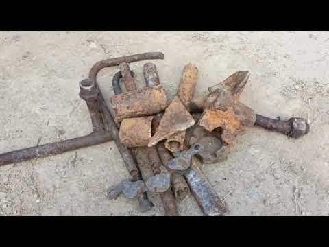 Видео: Выгул собаки с прибором вдоль лесных дорог