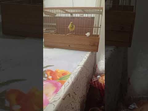 Видео: 28 октября 2025 г.