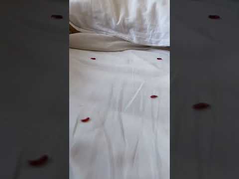 Видео: Черви ч.6🙀 Аллергия!