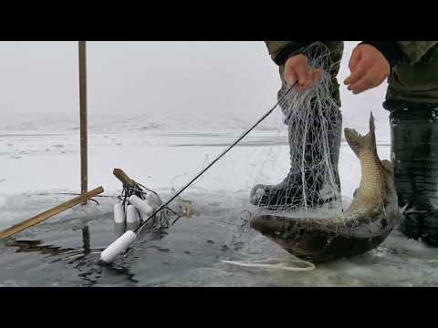 Видео: Ставим сеть на чира