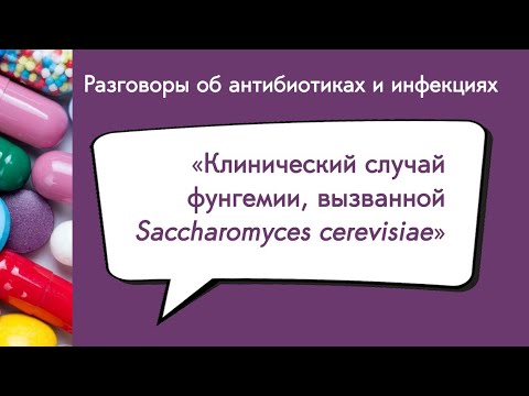 Видео: Вебинар: «Клинический случай фунгемии, вызванной Saccharomyces cerevisiae»