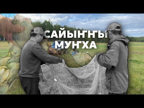 Видео: Чыаппара | Сайыҥҥы муҥха