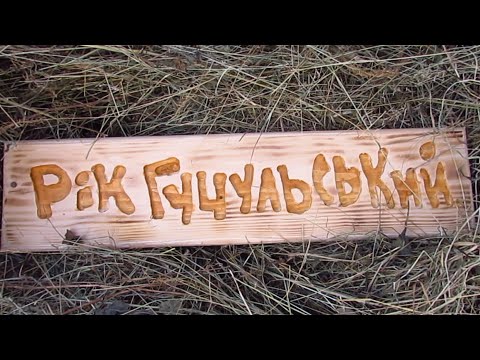 Видео: Рік Гуцульський | документальний фільм