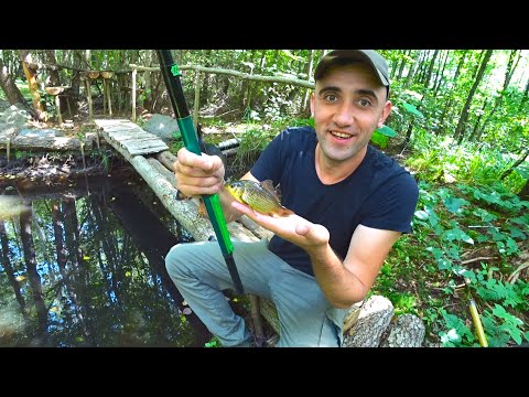 Видео: Окультуриваю Лесной лагерь. Рыбалка на маленьком пруду. Вареная кукуруза в казане.