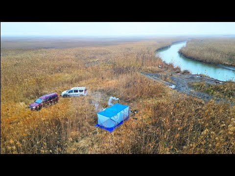 Видео: Ловим сазана зимой.Такого улова зимой не ждали.Двое суток в палатке.
