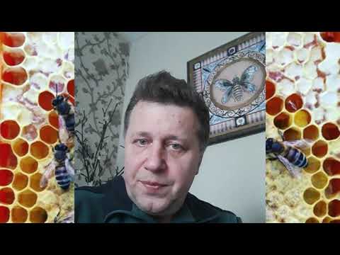 Видео: Селекция пчел. пчелиная полиция.