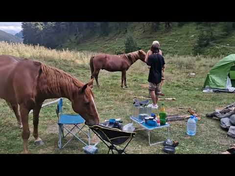 Видео: В Тушети на Субару! To Tusheti by Subaru