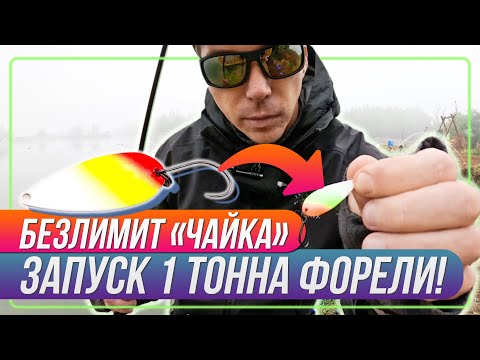 Видео: 1 ТОННА ФОРЕЛИ. Безлимит «ЧАЙКА». Рыбалка с #OnlySpin