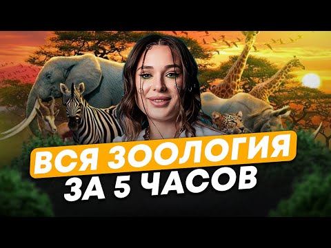 Видео: Это ТОЧНО СПРОСЯТ на ЕГЭ! / Повторяем ВСЮ ЗООЛОГИЮ перед ЕГЭ по биологии 2025!