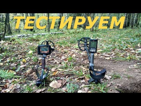 Видео: Тест металлоискателей Minelab Equinox 600 и Fortune PRO2.