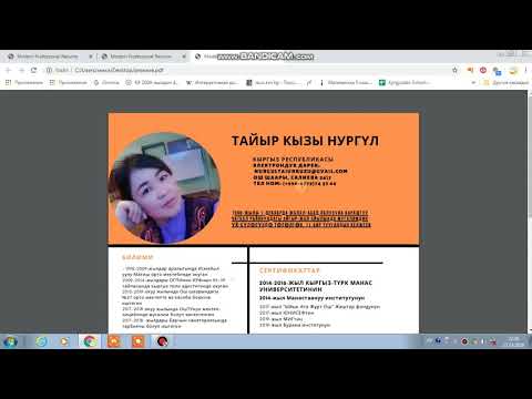 Видео: Аналогиялык эталон жуптардын байланышы