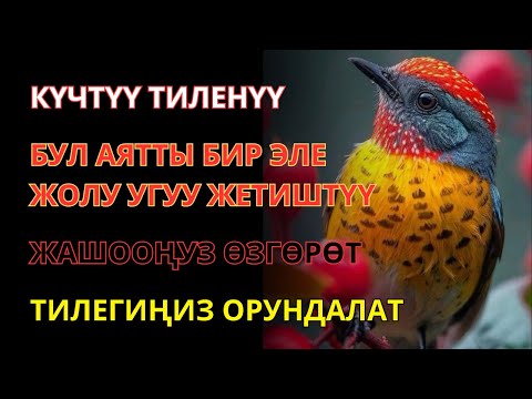 Видео: НАЧНИ ДЕНЬ С СИЛЬНОГО ДУА УТРОМ! 🤲🔑☀️✨💯