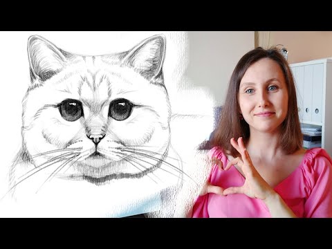 Видео: Как нарисовать кота карандашом поэтапно для начинающих. Туториал по рисованию