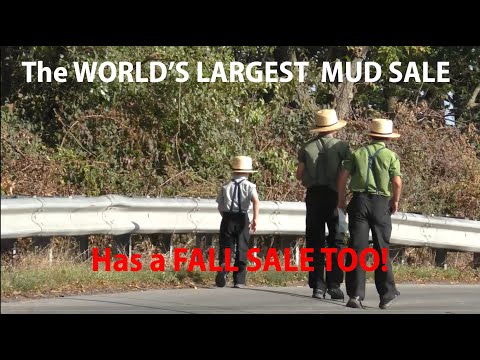 Видео: В доме, где проходит самая большая в мире распродажа грязи, в сентябре также пройдет осенняя расп...