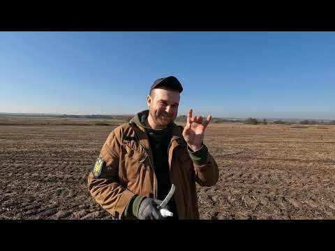 Видео: СРІБЛО ЧК! ТРИ ДНІ ПОШУКІВ. Коп з XP Deus II