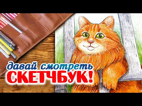 Видео: Обзор СКЕТЧБУКА // Sketchbook Tour
