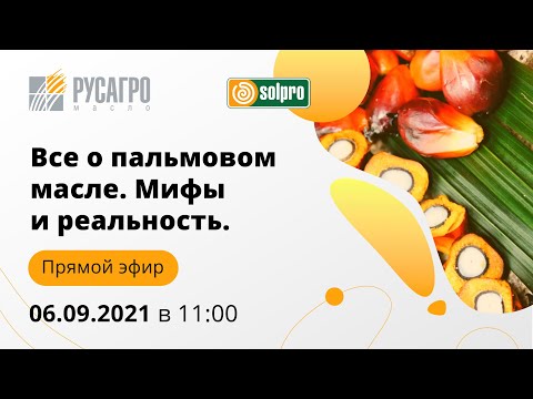 Видео: Всё о пальмовом масле. Мифы и реальность