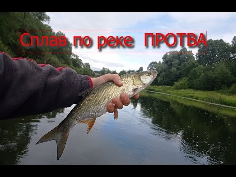 Видео: ВОТ ЭТО РАЗДАЧА РЫБ!!!! сплав по реке Протва.