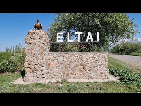Видео: Елтай ауылы (Түлкібас ауданы)