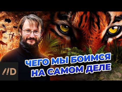 Видео: Чего мы боимся на самом деле? | Станислав Дробышевский