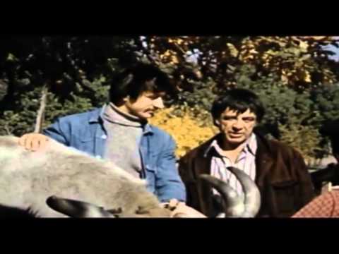 Видео: Ний сме хора художници