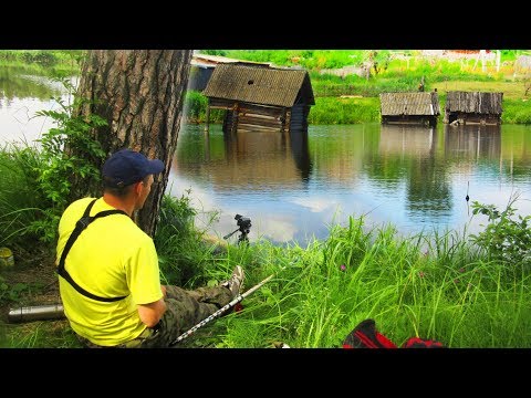 Видео: РЫБАЛКА В ЗАТОПЛЕННОЙ ДЕРЕВНЕ! МНОГО РЫБЫ! Оснастка поплавочной удочки и карп в июле
