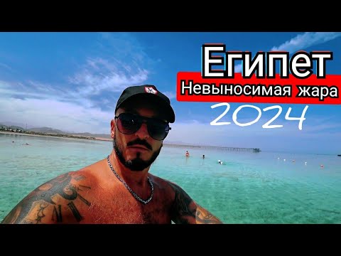 Видео: Отель ЗАПОЛНЕН 100 % 🇪🇬 Pickalbatros Royal Moderna Resort - Sharm El Sheikh 5* Первая береговая Набк