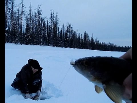 Видео: Хариус,мы добрались до места.