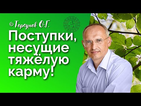 Видео: Поступки, несущие тяжёлую карму! Торсунов лекции