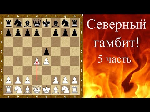 Видео: Шахматы дебюты. Северный гамбит! (5 часть)