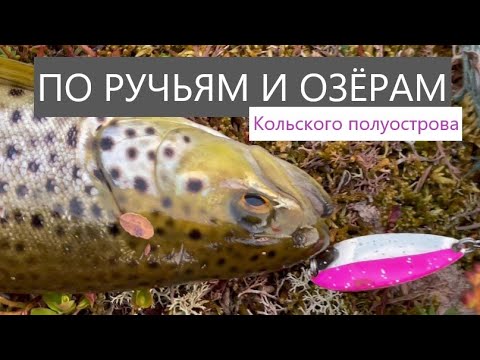 Видео: РЫБАЛКА по ручьям и озёрам Кольского полуострова. 11-12 июня 2023