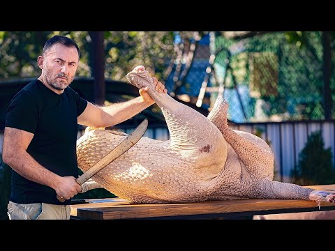 Видео: ШАШЛЫК из СТРАУСА. МЯСО СТРАУСА на МАНГАЛЕ. ENG SUB