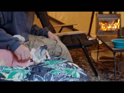 Видео: [Одиночный поход с собакой] Уютные моменты перед зимой: последний костер осени