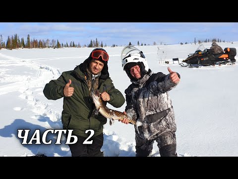 Видео: ПЯТЬ ДНЕЙ В ПРИПОЛЯРЬЕ \ 2 ЧАСТЬ \ ПРОСНУЛИСЬ В ЛУЖЕ \ ТРОФЕЙНАЯ ЩУКА \ РЫБАЛКА 2019