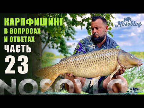Видео: Карпфишинг в вопросах и ответах, А  Колесников, выпуск 23