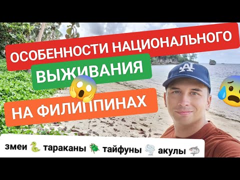 Видео: Почему ехать на Филиппины опасно? Что не так в этой стране? 🏝️ Вся правда о переезде на Филиппины 🇵🇭