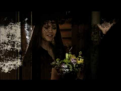 Видео: Елена и Стефан - прости, но не до тебя