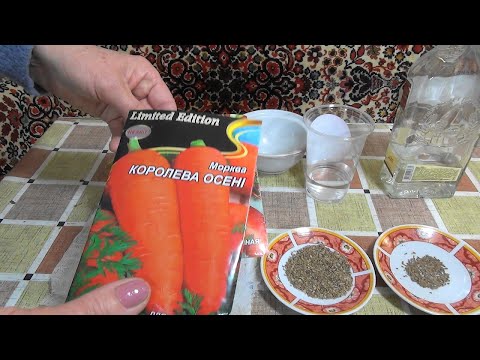 Видео: 🥕Как ускорить прорастание семян моркови
